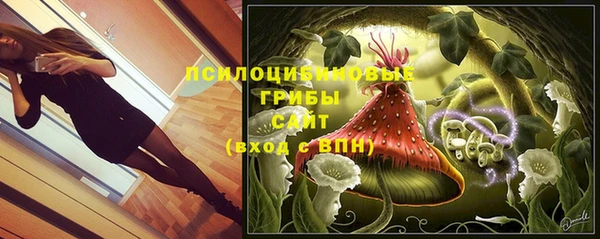 амф Костерёво